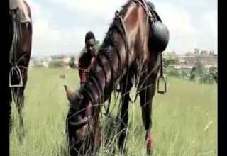 Ray G Enshazi HD Official Video Alose Films