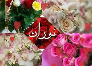 إسم نوران إهداء حسب الطلب اصحاب وعشاق إسم نوران Nouran ع اغنية جميلة جدا
