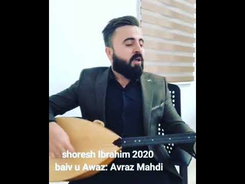 Shoresh Ibrahim 2020
