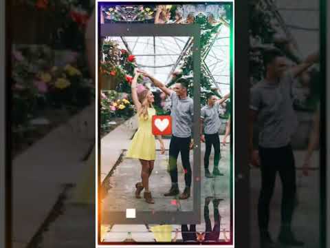 Tera Pallu Sarka Jai Re Youtubeshorts Trendingvideo Hindisong