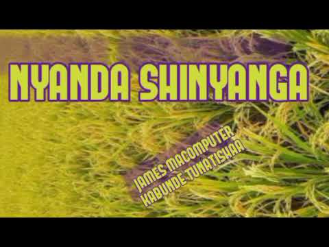 Nyanda Shinyanga HARUSI OFFICIAL Audio James Macomputer Kabunde