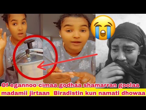 Of Egannoo Cimaa Goodhaa Maloo Shamaran Goolaa Madaamii Jirtaan Addarra Kessaan