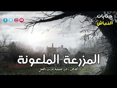 قصة رعب حقيقية حدثت بالفعل مجموعة شباب يذهبوا للعمل داخل مزرعة مهجوره بالوادي الجديد حكايات النباش