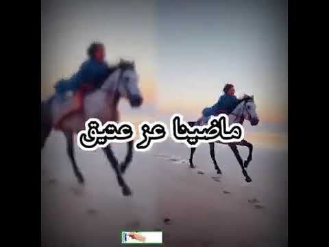ذهب خوتنا ذهب