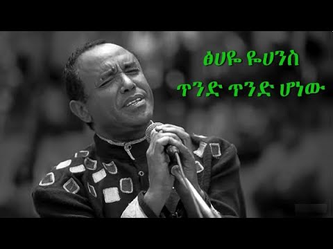 Tsehaye Yohannes Tind Tind Honew ጥንድ ጥንድ ሆነው Lyrics