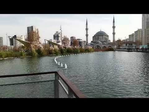 أأبكاك شوقك يوما إليه استمتعوا بجمال الطبيعة وصوت الأنشودة