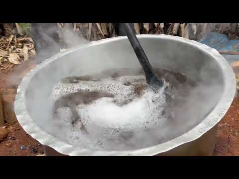 Namna Rahisi Ya Kutengeneza Dawa Ya Asili Ya Kufukuza Wadudu Na Kuimarisha Mazao Namna Rahisi Ya Kutengeneza Dawa Ya Asili Ya Kufukuza Wadudu Na Kuimarisha Mazao