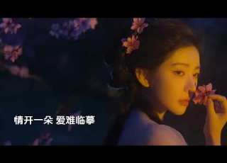 时光笔墨 唯美 古风 时光笔墨 张碧晨