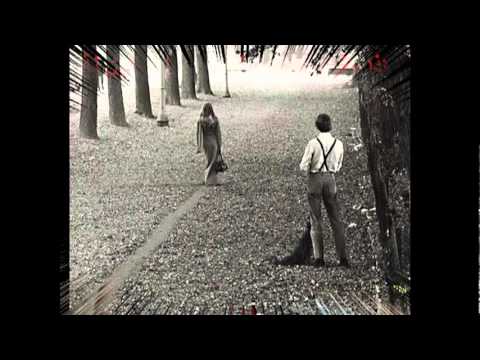 عادية خالص على فاروق