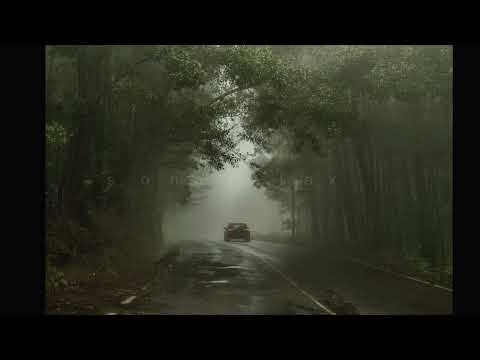 Rosyln Bon Iver St Vicent 1 Hour