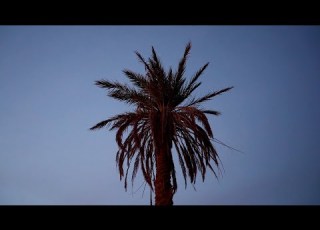Meteor Airlines AFRUKH ⴰⴼⵔⵓⵅ Official Music Video