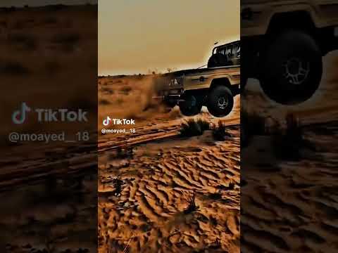 شاص ملك الصحراء