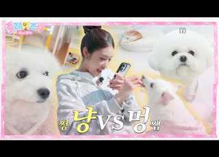 Play Izna This Is Heaven Puppy Kid Daycare Project EP 3 07z Request 1