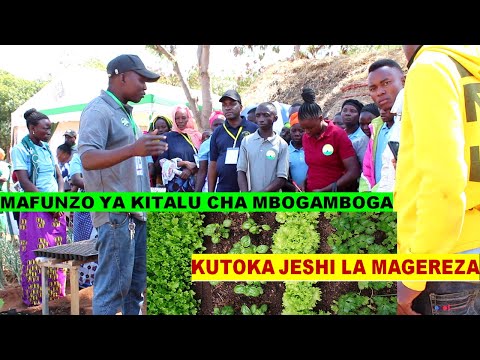 JIFUNZE KILIMO CHA MBOGA MBOGA Kutoka Jeshi La Magereza Tanzania