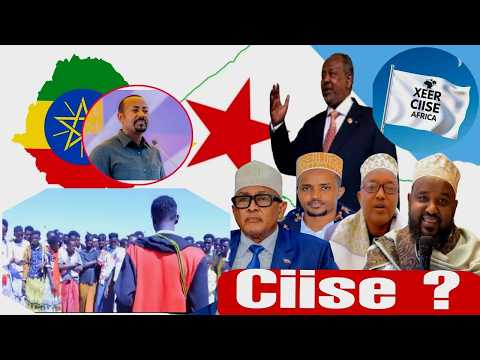 XOG XASASI AH MAXADA KA TAQANA BOOK XEER CISE 800 JIRAY BEENTA CIRO SAMARON KA SHEGEN BOOK