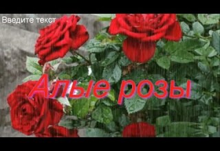 Алые розы Песня рвет душу