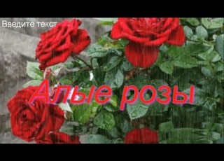 Алые розы Песня рвет душу