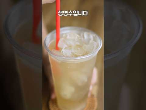 초간단 숙취 해소제 음료 포카리 생명수