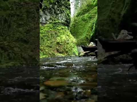 يا إخوتي ماذا نقول أم حزننا جلب البكاء يا إخوتي ماذا نقول أم حزننا جلب البكاء