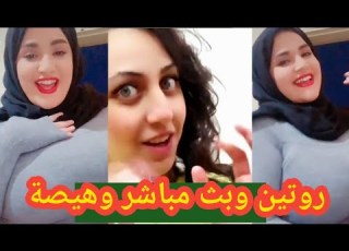   يومى و تيك توك وبث مباشر وليله كبيره اوى سعادتك