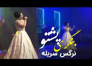 نرگس سریله بنگری پشتو Narges Surriele Bangri Pashto Song