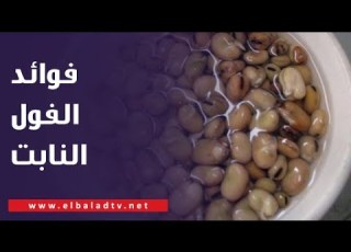فوائد الفول النابت د مجدي نزيه يفاجئ عزة مصطفى