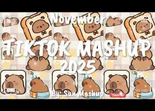 Tiktok Mashup November 2025 Not Clean