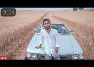 Hama Star 2024 Zulft Mare Gre Gre