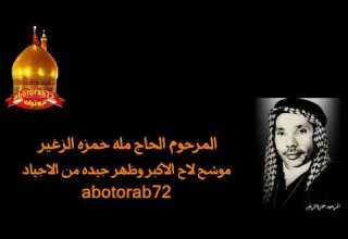 حمزه الصغير