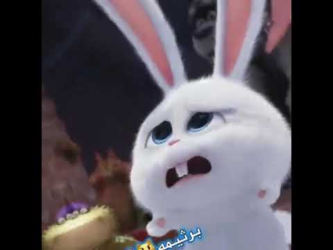 قشتۆکە برسیمە برسیمە بلثيتى