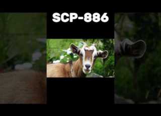 Какой самый безопасный SCP Часть 9 Scp Scpfoundation