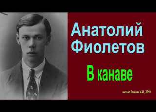  Анатолий Фиолетов В канаве