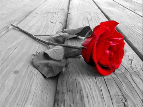 اغنية الضمير سمير ابو النيل