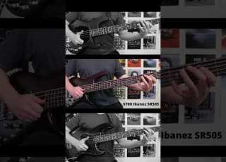  Cheap Vs Expensive Bass Which Slaps Better Bass
