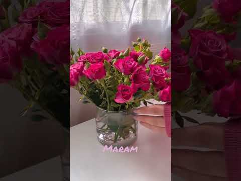 موسيقى كلمات ماجدة الرومي مساء الورد