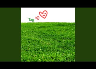  Tag