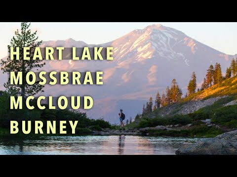 Mt Shasta California The ULTIMATE 3 Day Itinerary
