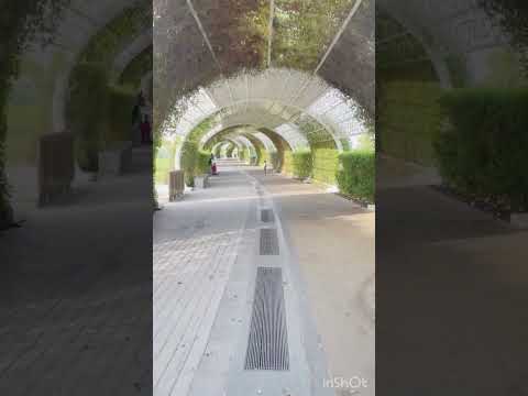 Umm Al Seneem Park Qatar