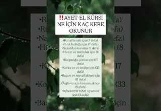 Ayetel Kürsi Ne İçin Kaç Kere Okunur