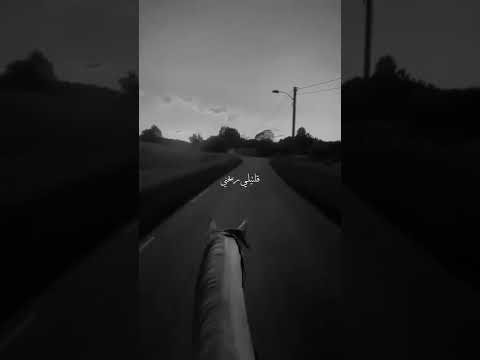غلطانة جيتيني ندمانة قلتلي ريحني