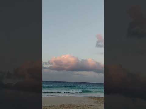 شيرين عبد الوهاب عودتني الدنيا أخسر