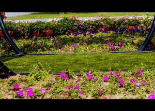 Seenaa Xaaphaa Ijoolee Keenyaa Waanti Dhibbee Tookko Iyyuu Hin Jiruu