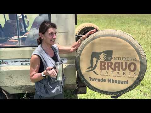 Tanzania Travel Guide 2026 Best Safari Adventure Tours