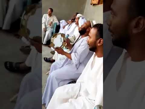 صلى يارب دواما المادح طه علام صلى يارب دواما المادح طه علام