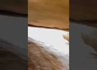 دان روعه ولاليت عندي خبر ولا شووووقي إني دريت