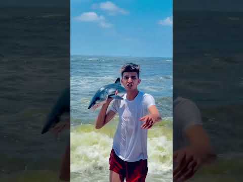 ظهور قرش في شاطئ الاسكندرية شوفو عملت اي