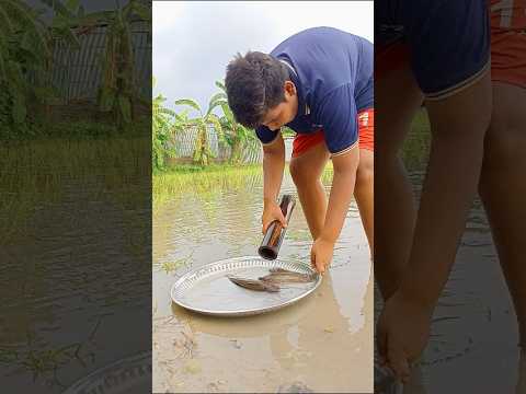 Techniques For Catching Hornfish With Bamboo Equipment In Canals Fishing Canal Bamboofishing Wow