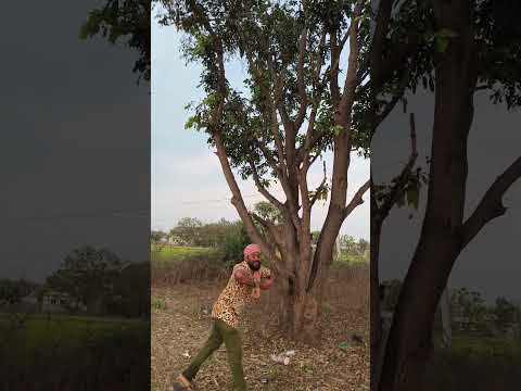 The Clouds Have Fallen On The Mango Corners Folksong Shortvideo Newsong