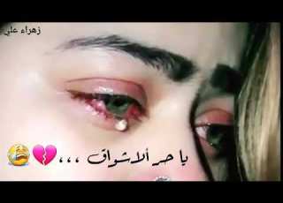يا طير الك بيه غصن سيد فاقد الموسوي