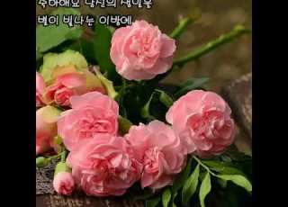 이문세 추카해요 가사 생일축하곡